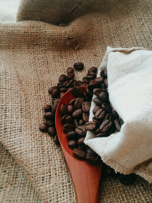 8 Specialty Coffee Beans You Must Try